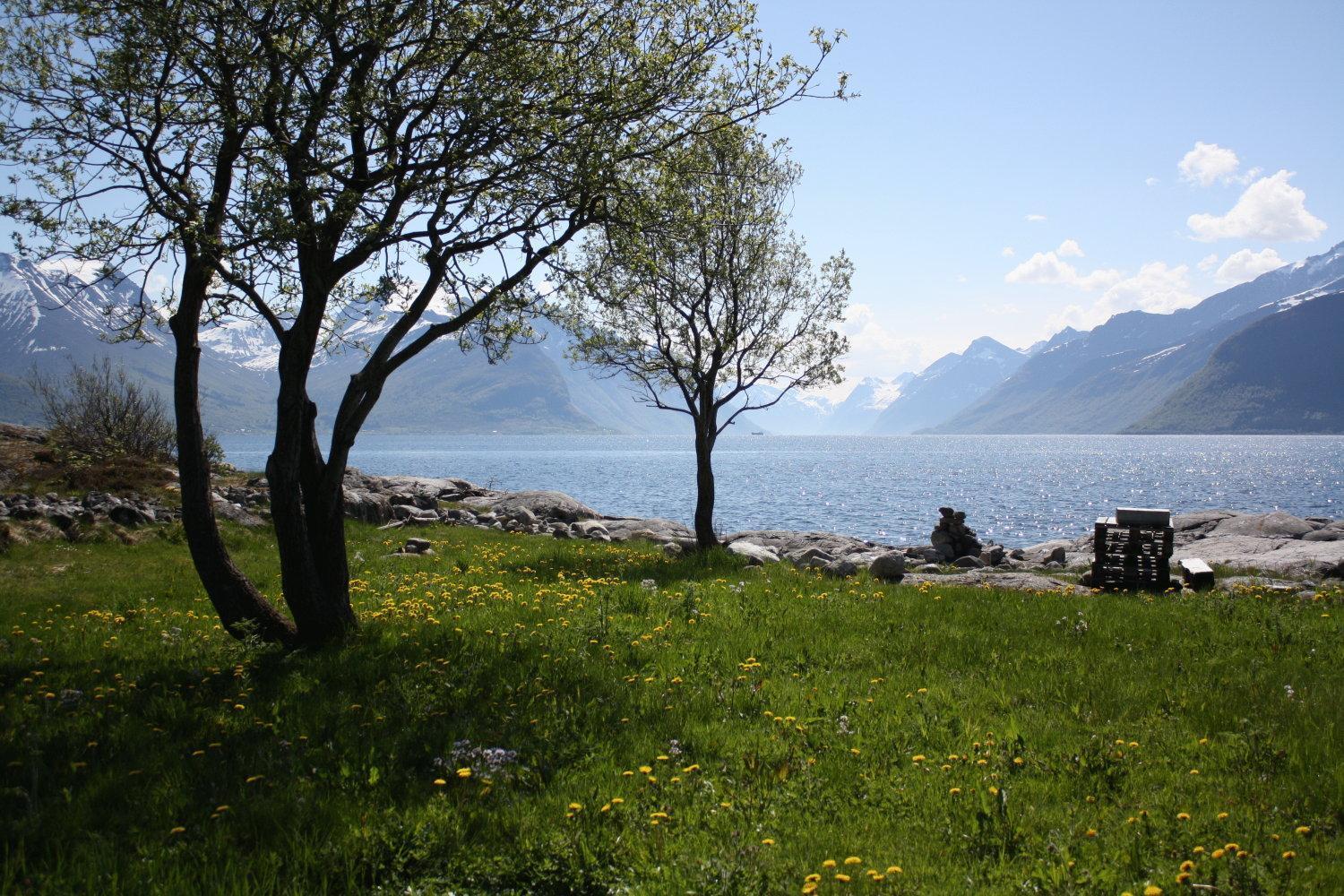 Sunde Fjord Hotel, Free And Easy Parking Solavagen Exterior foto